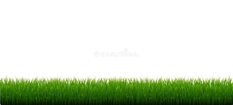 Green Grass Border Isolated White Background Stock Vector ...