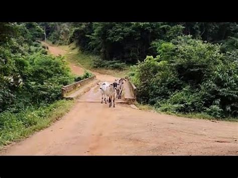 Terra De Minas Ponte Do Cocais Localizado No Munic Pio De Rio