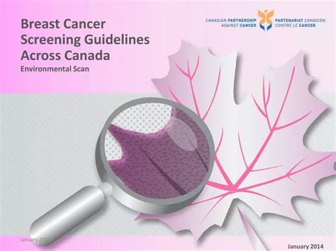 Ppt Breast Cancer Screening Guidelines Across Canada Powerpoint