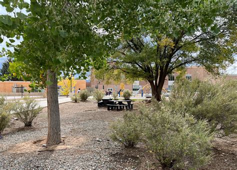 Engaging Students In Forest Design — Green Schoolyards America