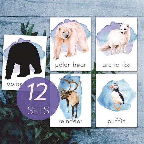 Arctic Animals Montessori Printable. North Pole Animals Toddler ...