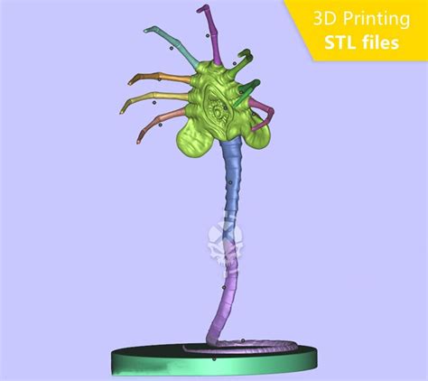 Facehugger Stl Archivo 3d Stl Figura Impresa En 3d Etsy México