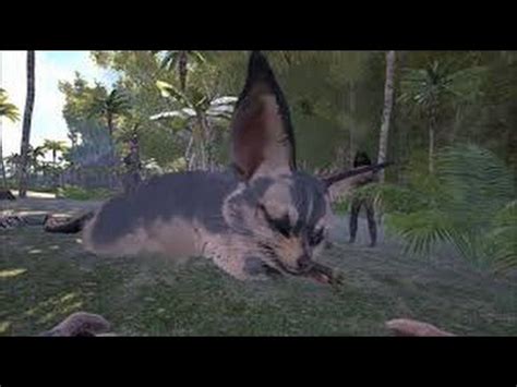 Ark Survival Evolved Mother Jerboa The Biggest Jerboa In Ark YouTube