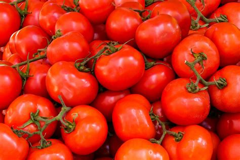 Tomato A Crop You Can Grow In A Few Months Agriculture Monthly