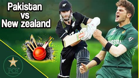 Fighting Match Pakistan Vs New Zealand Highlights Pcb M C Youtube