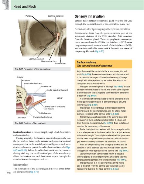 Eye - Human Anatomy & Physiology (PCBI102) - Edit - 506 Head and Neck ...