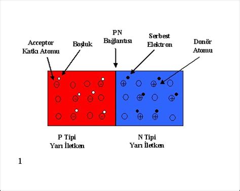 PN Bağlantısı PN Junction diyot net