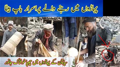 Daily Routine Village Life In Pakistan Gilgit Baltistan Mountain