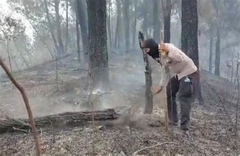 Kebakaran Gunung Arjuno Welirang Hanguskan 4 825 Ha Titik Api Kembali