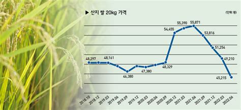 Issue 구조화되는 쌀 공급과잉과 가격 폭락 근본 대책은