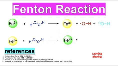 Fenton Reaction Iron Hydrogen Peroxide Hydroxyl Radical