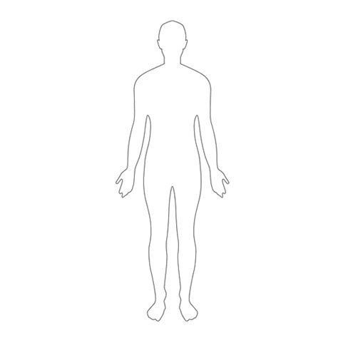 Human Body Man Illustration Transparent Png Svg Vector File