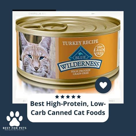 15 Best High Protein Low Carb Canned Cat Foods BestForPets Org