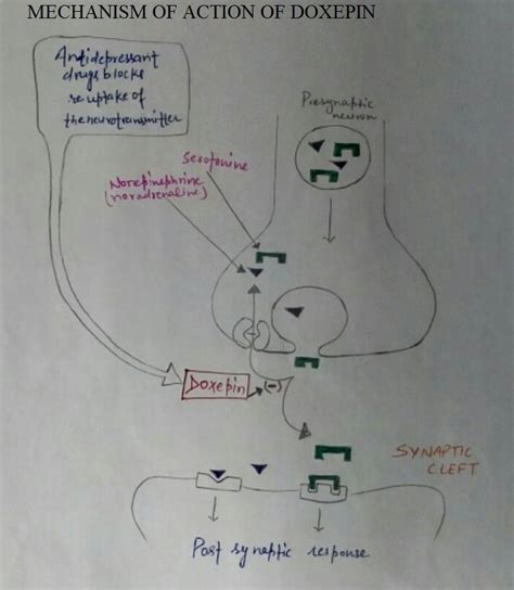 Pharmacology Of Drugs Doxepin