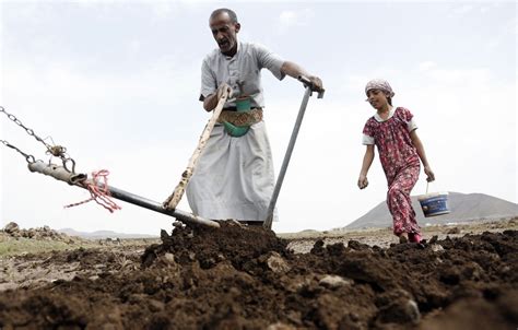 Fao Receives World Bank Grant To Support Agricultural Resilience In