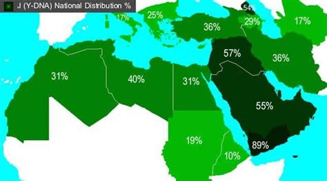 90 Amazing Haplogroup J1 - insectza