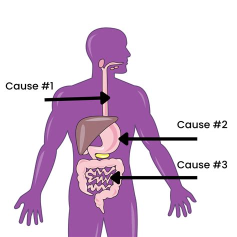 3 Types Of Burping By Harsh From The Case