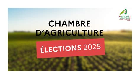 Elections Chambre D Agriculture Actualit S Les Services De L