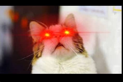 Create A Funny Laser Eyes Meme For You By Awesomegael Fiverr