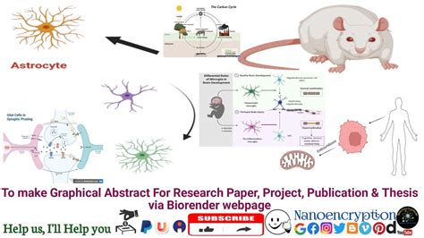 How To Make Graphical Abstract For ResearchPaper Project Publication