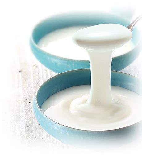 yogurt products products fujicco