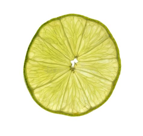 Backlight Of A Slice Of Green Lemon Stock Image Image Of Lime Lemon