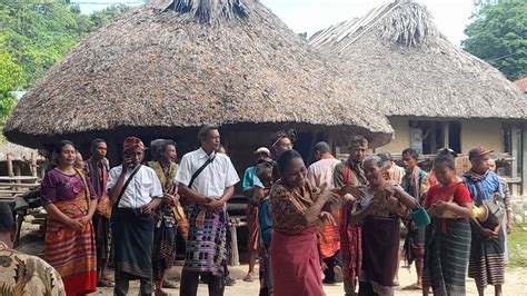 Unik Calon Kades Weoe Kumpul Di Rumah Adat Besar Diarak Ramai Ramai