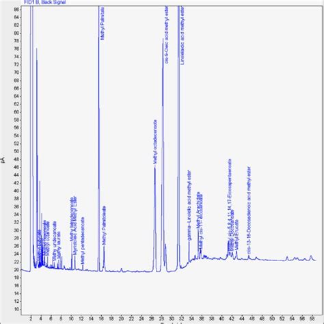 Gc Plot For N Hexane Fraction Download Scientific Diagram