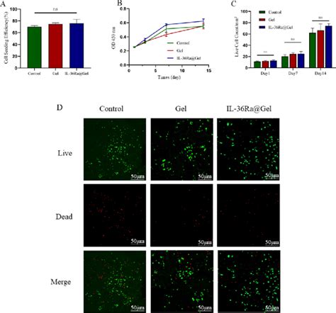 Il Ra Gel Cytotoxicity A Cell Implantation Efficiency B Cell