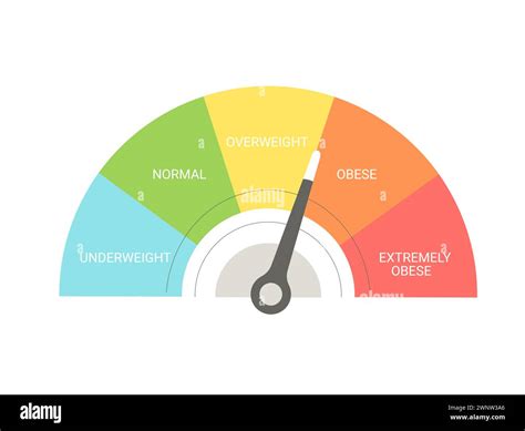 Bmi Concept Indicator Body Mass Index Weight Control Vector Flat