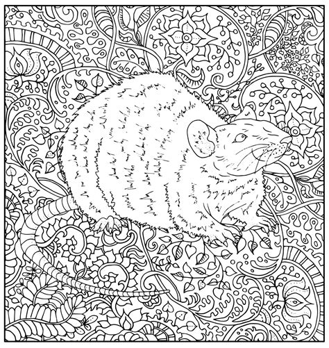 Realistic Rat Coloring Pages