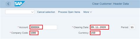 F In Sap Clear Customer Open Items Sapficoblog