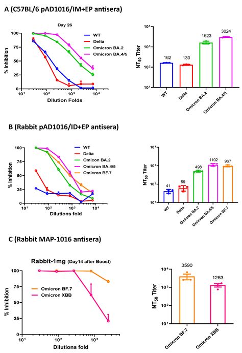 A COVID-19 DNA Vaccine Candidate Elicits Broadly Neutralizing