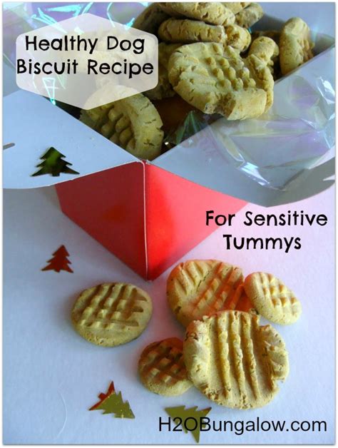 Healthy Dog Biscuit Recipe for Sensitive Tummys