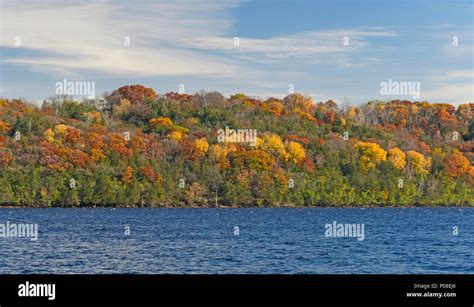 Fall Colors Across the St Croix River from Afton State Park in ...