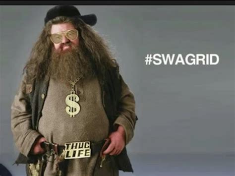 Swagrid - Harry Potter Photo (34755976) - Fanpop