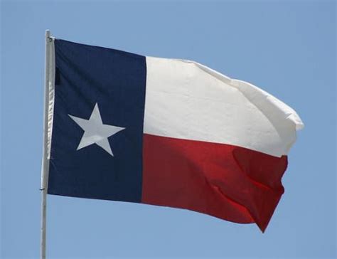 Texas State Flag