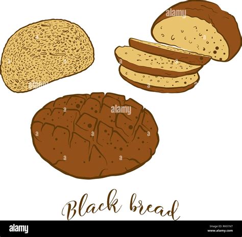 Colored Sketches Of Black Bread Bread Vector Drawing Of Rye Bread Food