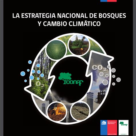 La Estrategia Nacional De Bosques Y Cambio Clim Tico