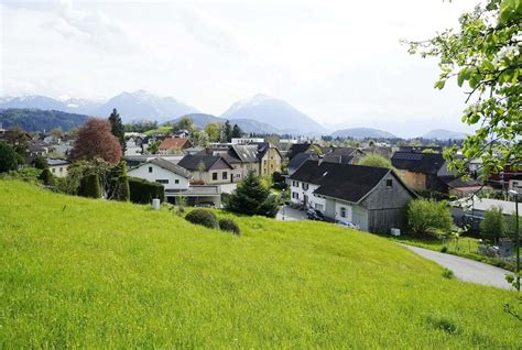 Baugrund In Hanglage Mit Super Aussicht Amann Immobilien Gmbh