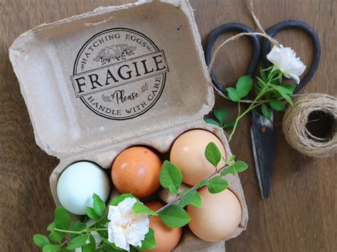 Fragile Eggs Stamp Hatching Eggs Custom Stamp Fragile Eggs Etsy