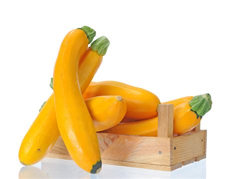 Summer Squash Zucchini Golden Glory Hybrid Seeds Hometown Seeds