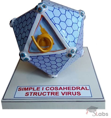 Simple ICosahedral Structure Virus - Scholars Labs