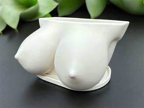 Boob Planter For Home Decor Creative Office Desk Pot Quirky And Funny Friend Gift Idea Etsy