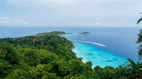 Similan Islands Tour By Speedboat Simba Sea Trips