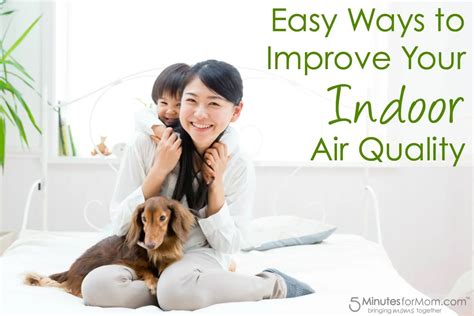 Easy Ways To Improve Your Indoor Air Quality 5 Minutes For Mom