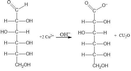 Análisis de carbohidratos Manual de laboratorio Quimicafacil net