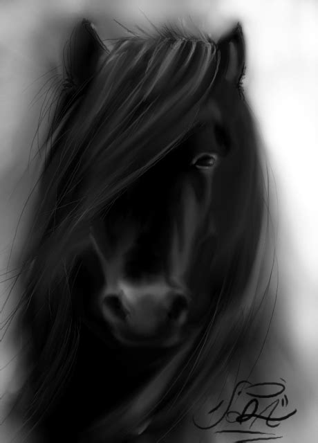 Black Stallion Drawing at PaintingValley.com | Explore collection of ...