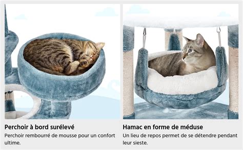 Yaheetech Petit Arbre Chat Hauteur Cm Avec Niche Requin Plateforme