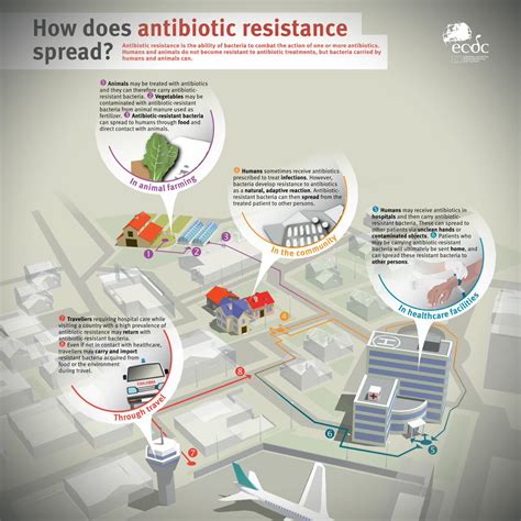 Pdf How Does Antibiotic Resistance Spread Antibiotic Resistance Is